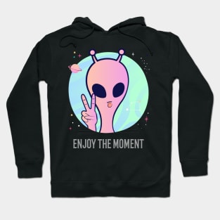 Enjoy The Moment Cool T-shirt Design Hoodie